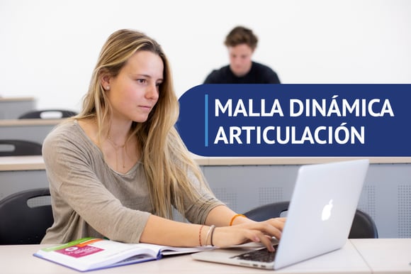 malla-articulacion