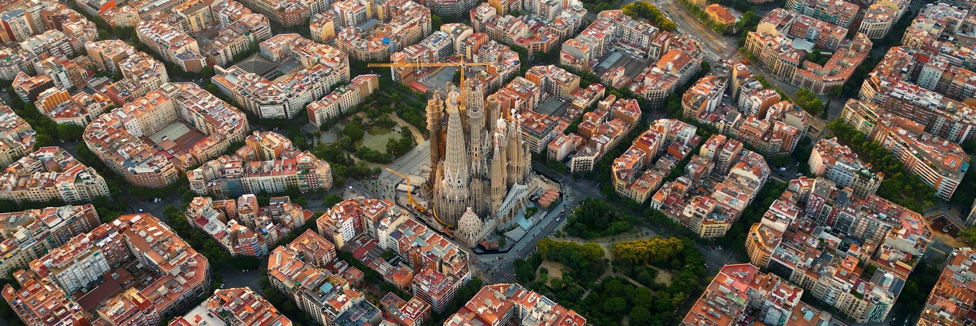 bcn-largo